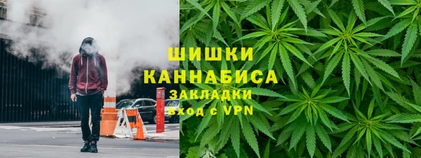 ГАЛЛЮЦИНОГЕННЫЕ ГРИБЫ Балабаново