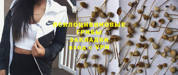 каннабис Беломорск